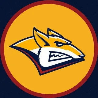 Независимая Гостевая 🏒