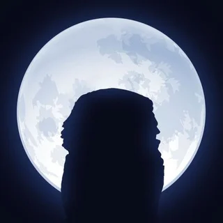 NOT Wise Chat