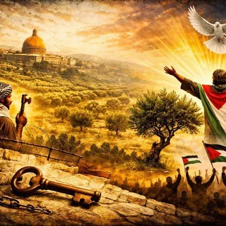 ارضـ 🇵🇸 الزيـتـونـ 🌿