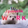 pawelik hideout