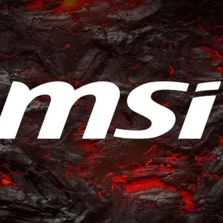 MSI GLOBAL