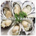 Gái Việt Xinh