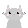 KISAH KUCING KITA 😻