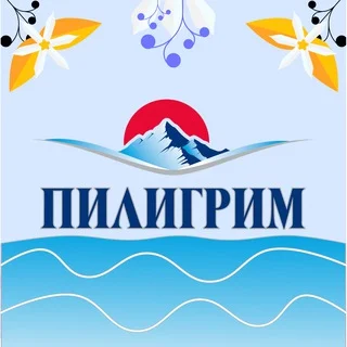 Пилигрим Chat
