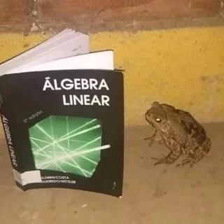 ПМ ХСЕ
