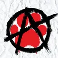 ❤️‍🔥Punk Furs New England❤️‍🔥 (18+)