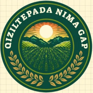 QIZILTEPADA NIMA GAP | “Qiziltepa №1 E’lonlar | 12,000+ obunachi”