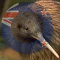 Qurious Kiwi Chat