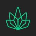RastaSwap Chat - Chinese