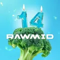 RAWMID чат