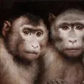 Reklam