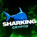 Sharking Crypto Chat