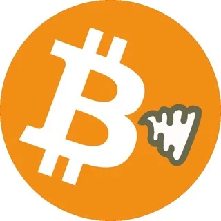 shitcoin™