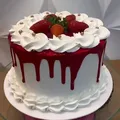 Shohi_cake's