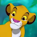 Simba Ortopedic Obuv