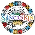 SincroKin
