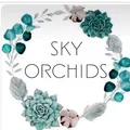 Sky Orchids (Орхідеї, підлітки, декоративні рослини )