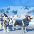 SledDoge中文社区