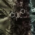 YourDrugsChat😈😏