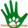 Сокольники_Dogs🐶