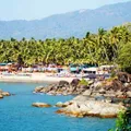 ЧАТ | Южный Goa