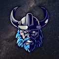Space Vikings LLC ⚔️