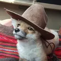 Speak Fur Yourself