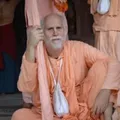 Srila BV Padmanabha Swami Maharaj. Шрила БВ Падманабха Свами Махарадж