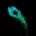 SSC JE GK & GS QUIZ