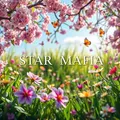 STAR MAFIA