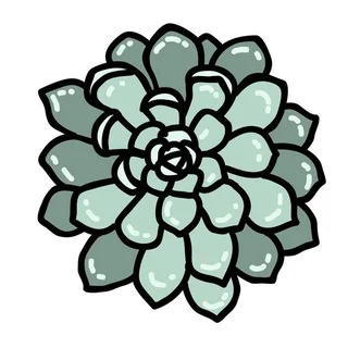 Суккуленты Чат 🌵