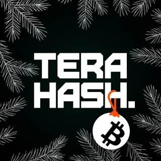 TeraHash Chat