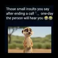 Team no stress😂😂🤣