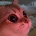 Airdrop disscusion