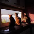чаепитие у Ванессы