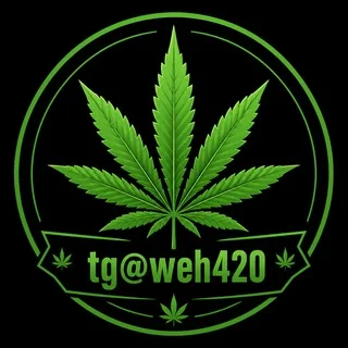 🚀tg@weh420🚀極搜Tg大麻420專門店(台灣中國大陸香港)(mdma迷幻蘑菇thc油LSD)Telegram