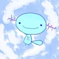 wooper.money