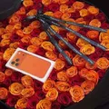 SEVDA 🌺FLOWERS 🌸💐🌷☺️🌷🌺😘😘💐🪴@sifatli_arzon_gullar_1
