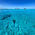 ЗАНЗИБАР | Чат и Инфо🏝️