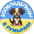 Зоовладельцы в Румынии🐕🐈‍⬛🇷🇴🇺🇦