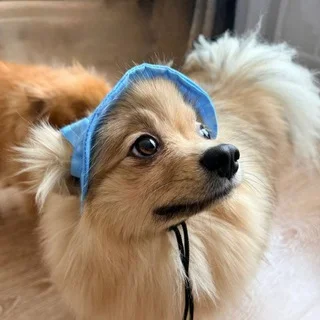 Зверьё моё