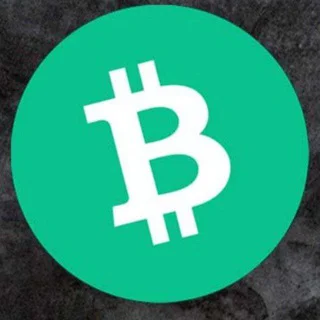 BCH 2024 Bot