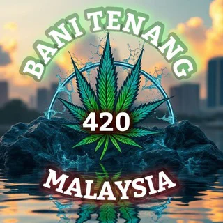 [Active Link] Bani Tenang Malaysia 🇲🇾