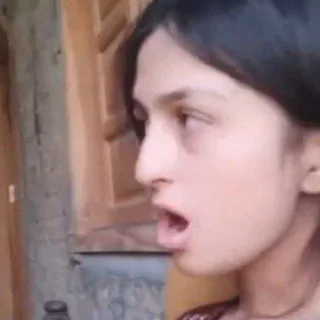 Punjabi Leak videos
