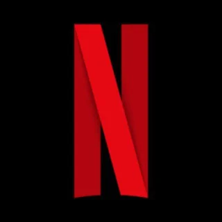 NETFLIX WEB SERIES MOVIES HINDI