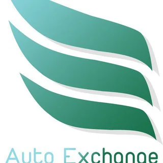Auto Exchange Group
