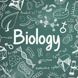 Biology quiz