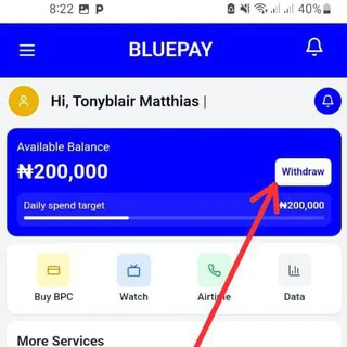 Blue pay limited