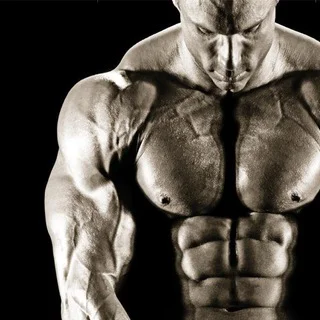 Bodybuilding & Fitness Books ebooks