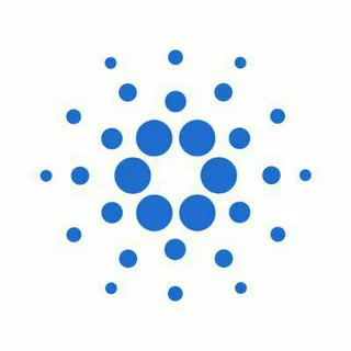Cardano Dutch and Flemish Official🇳🇱🇧🇪